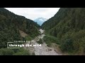through the wild - DJI Mini 4 Pro #djicinematic #djimini4pro #dji