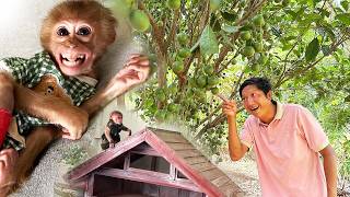 Uncle Goes to the Market – Jobi Sneaks Out Leaving Hope Alone at Home