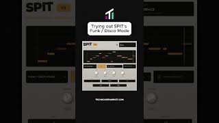 Funk and disco mode. Same plugin, totally different rules. SPIT has 5 modes and each writes bassline