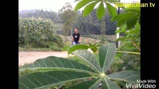 yosie lucky kerinduan.