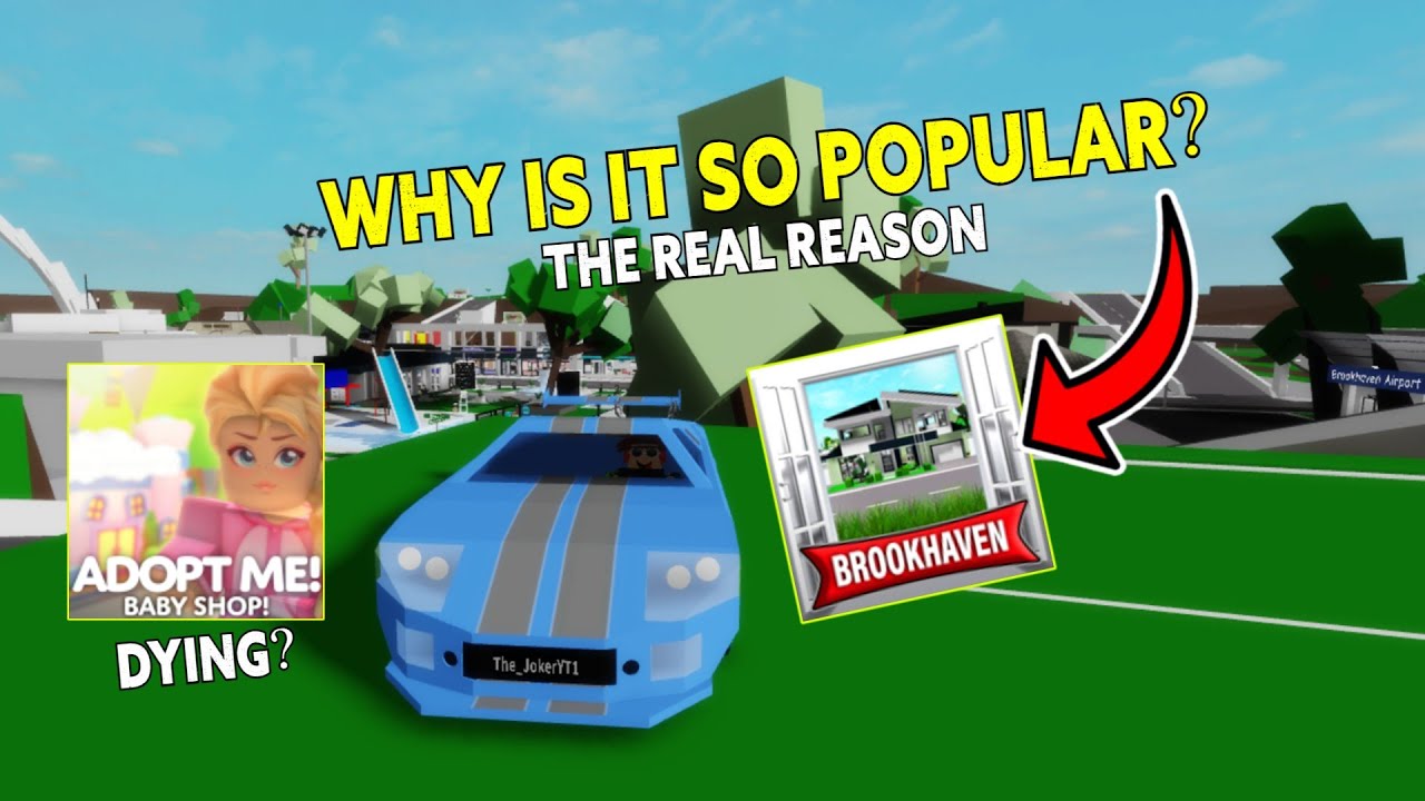 Roblox Success Stories: Blox Fruits, Brookhaven RP & Adopt Me!