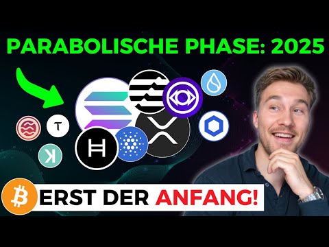 WOW: Der 2025er BULLRUN wird GIGANTISCH! XXL Krypto News