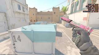 CS2 USP first round round clean ace