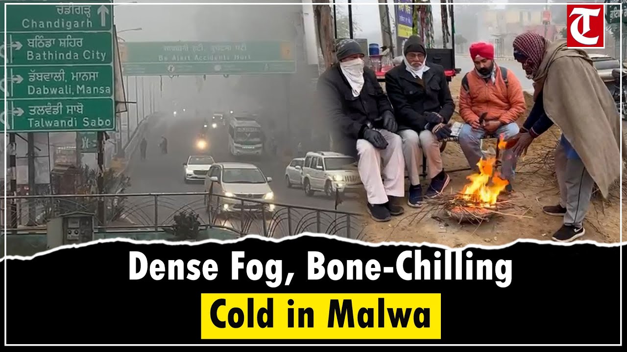 Dense Fog Grips Malwa Region in Punjab, Residents Gather Around Bonfires to Beat Cold