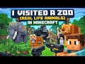 Minecraft but all real life wild animal and Bird 🕊️🐔 please watch for support 🙏🙏