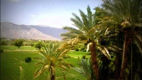 عبد العزيز الزهراني  من سورة التوبة