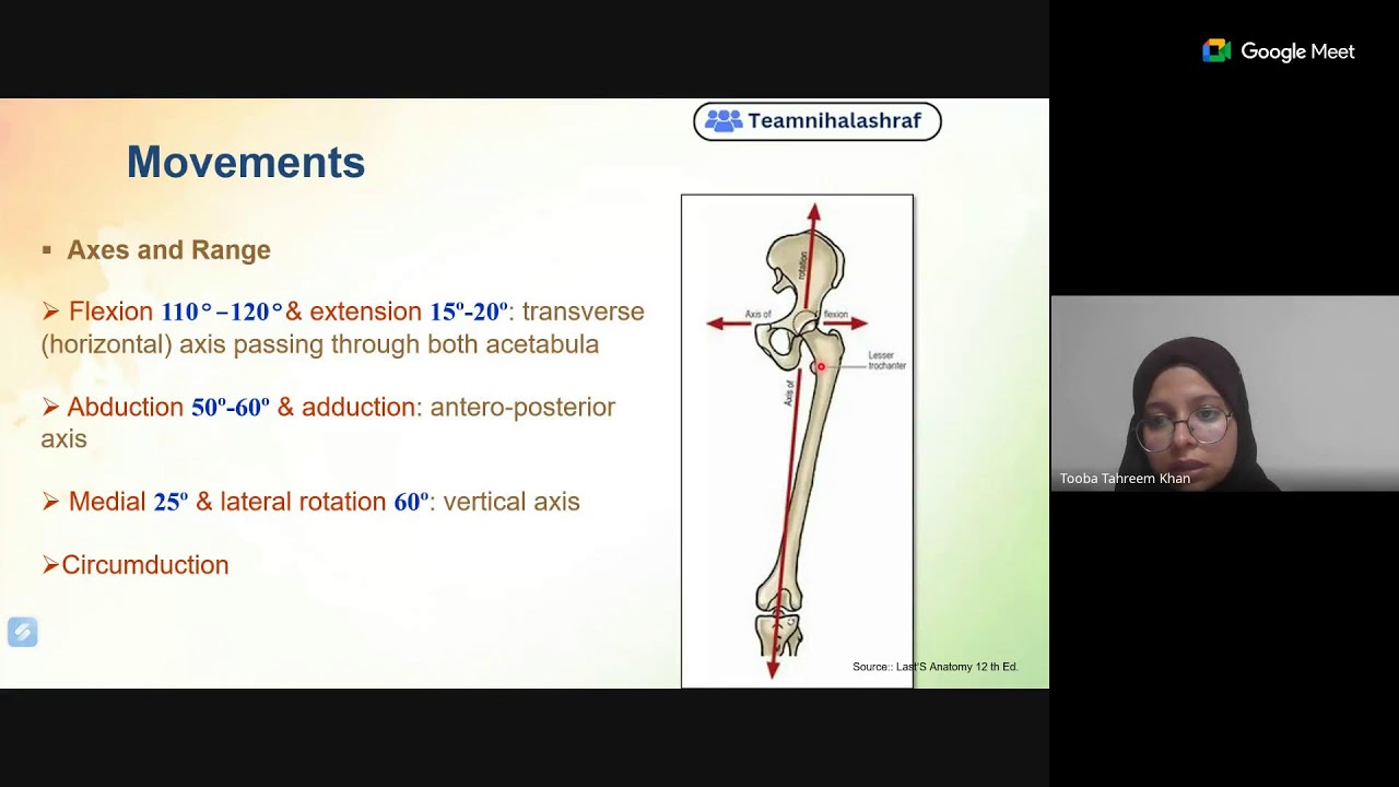 Anatomy of Hip Joint- Physiotherapy Lecture by Teamnihalashraf 