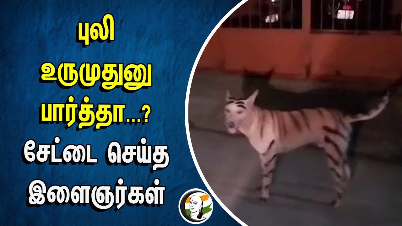 ⁣புலி உருமுதுனு பார்த்தா...? சேட்டை செய்த இளைஞர்கள் | Puducherry