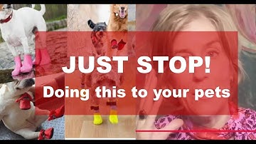 STOP DOING THIS TO YOUR PETS!