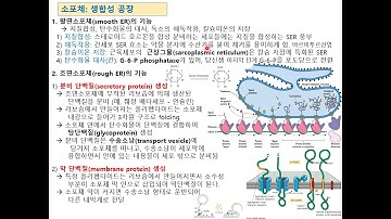 일반 생물학 7장   2