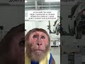 Знайома ситуація?