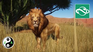 Leeuwen security camera // Aldborg Zoo // Planet Zoo // #4 screenshot 3