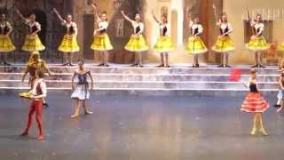 Erika Mikirticheva / Sergei Polunin - Don Quixote 14.02.2014