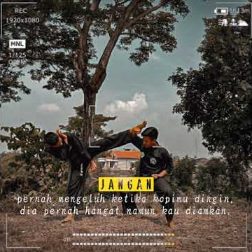 story' wa Pagar Nusa