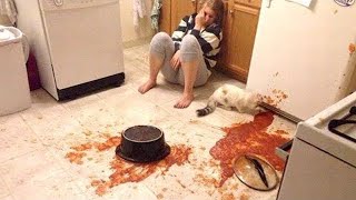 Owners Are Crying You Are Laughing Pets Paradise Pets Funny Videos Just 4 Fun