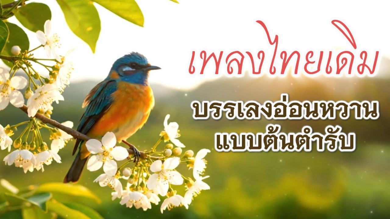 เพลงไทยเดิม | บรรเลงอ่อนหวาน ฟังสบาย แบบต้นตำรับ