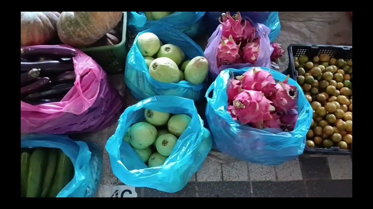 BAWA MADAM URUSAN DI HARIMAU😂..//CANTIK² LIMAU KASTURI DI TAMU MUHIBBAH..