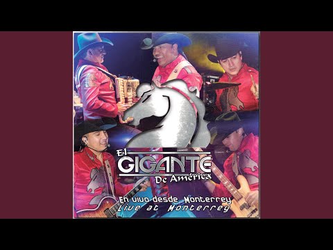 Putar Homenaje a Choche (Amigo Bronco) - Bronco