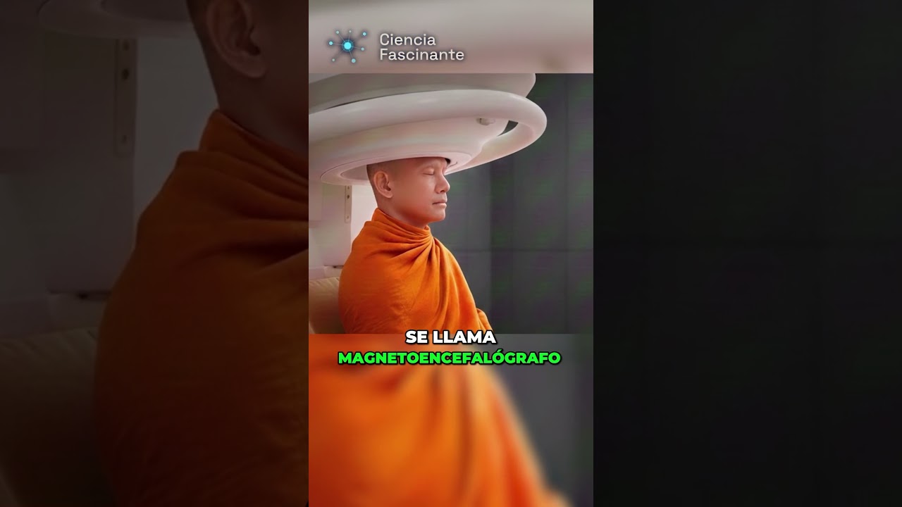 El Cerebro al Borde del Caos 🧠