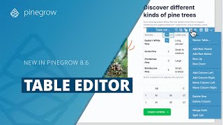 Build Tables Faster with Pinegrow's Table Editor