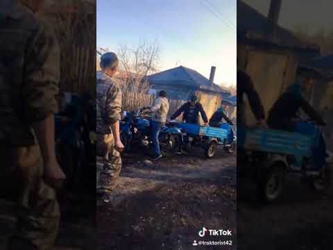Муравей мотороллер