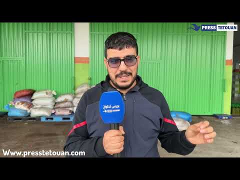 بريس تطوان ترصد داخل المعصرة أسعار زيت الزيتون التي قد تصل إلى 45 درهما للتر