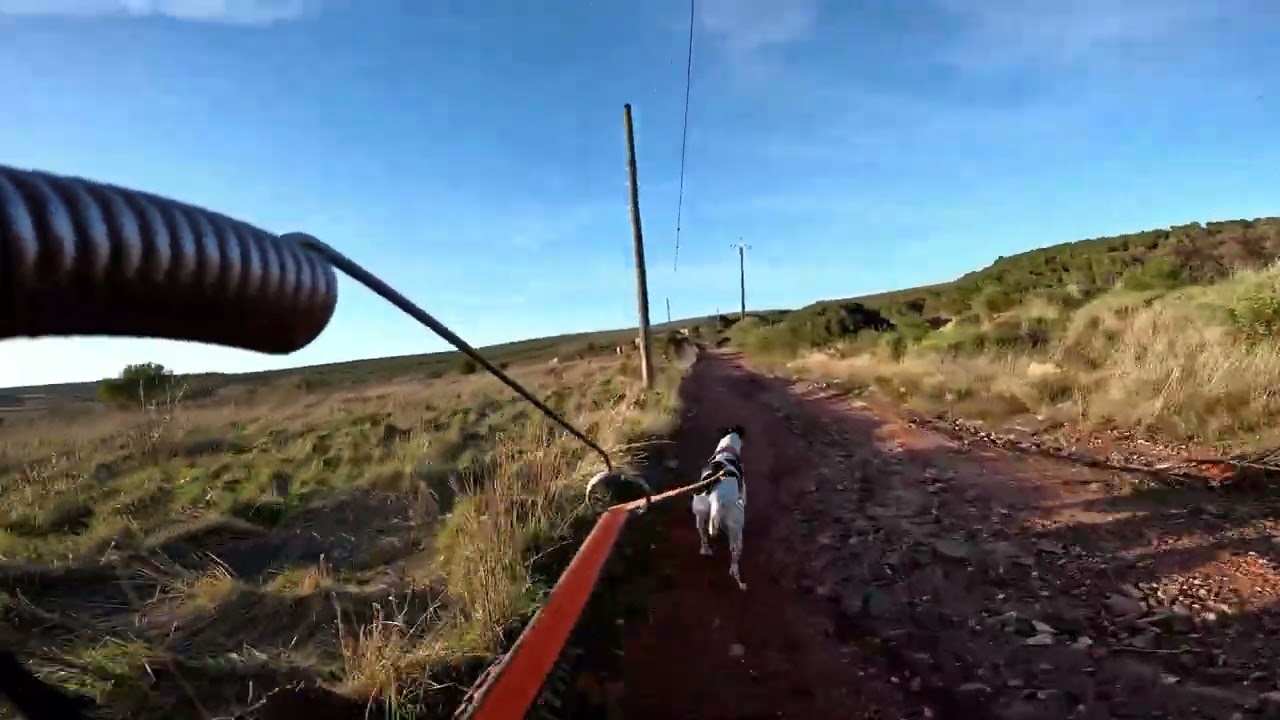 CaniVTT avec Toots - Red Paws Race samedi 21fev2026