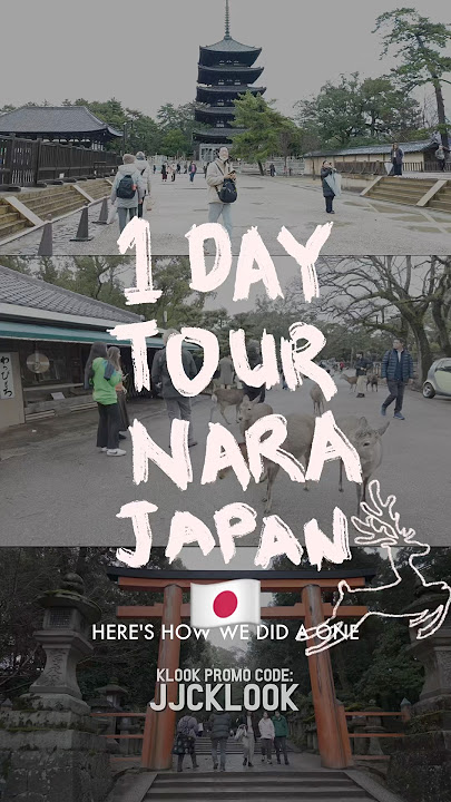 🇯🇵 Our 1-DAY Tour in NARA, JAPAN 🦌 coming from Osaka