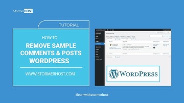 How to remove sample comments, posts on a new WordPress blog | StormerHost.com