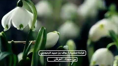 تلاوة من سورة الفرقان من آية 25 إلى 33 قراءة الشيخ / نواف بن عبيد الرعوجي