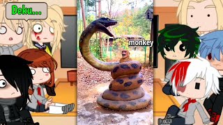 MHA/BNHA Character React to Deku's Pets +more/Deku/Viral/Funny Trending Tiktok/BNHA/Gacha Club #62