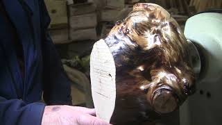 Sycamore Beauty!  Wood Turning