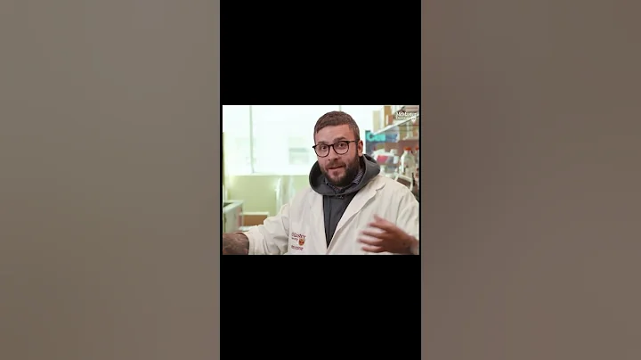 Scientists use AI to find new antibiotic to fight evasive hospital superbug (McMaster University)