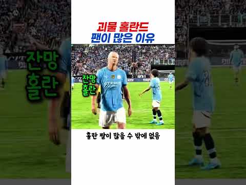 축구 안보는 <strong>사람도</strong> 홀란드 팬이되는 이유