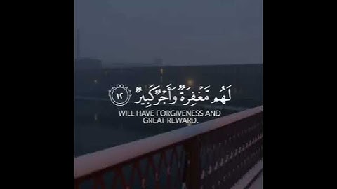 سورة الملك قارئ ماهر المعيقلي