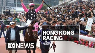 Meet Australian jockey Zac Purton and the Aussies racing to riches in Hong Kong | ABC News