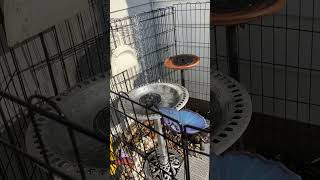 IMG 0921