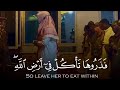 و إ ل ى ث م ود أ خ اه م ص ال ح ا سورة الأعراف 