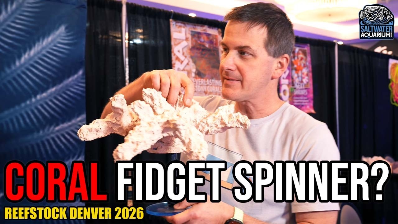 Рифовые аквариумы нового поколения: новая интеллектуальная система дозирования от Tunze и спиннер...