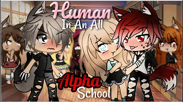 A Human In An All Alpha School | Gacha Life | GLMM