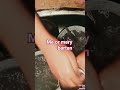 me or mery pyary bartan |mahpara diarie #viral #tranding #trandingshorts #viralvideo #minivlog