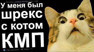 видео: КМП. У МЕНЯ БЫЛ ШРЕКС С КОТОМ. КИЛЛ МИ ПЛИЗ картинка: КМП. У МЕНЯ БЫЛ ШРЕКС С КОТОМ. КИЛЛ МИ ПЛИЗ
