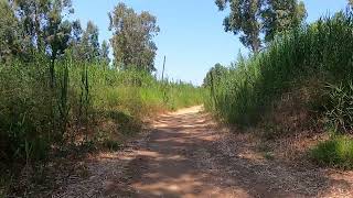 שביל ממש מגניב ליד רמת החייל
