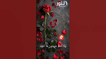 قرآن كريم بصوت يلامس القلوب❤️ (إسلام صبحي) (سورة الكافرون) ﴿قل يايها الكفرون لا أعبد ماتعبدون﴾😌