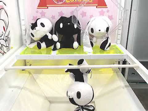 chax gp all purpose rabbit