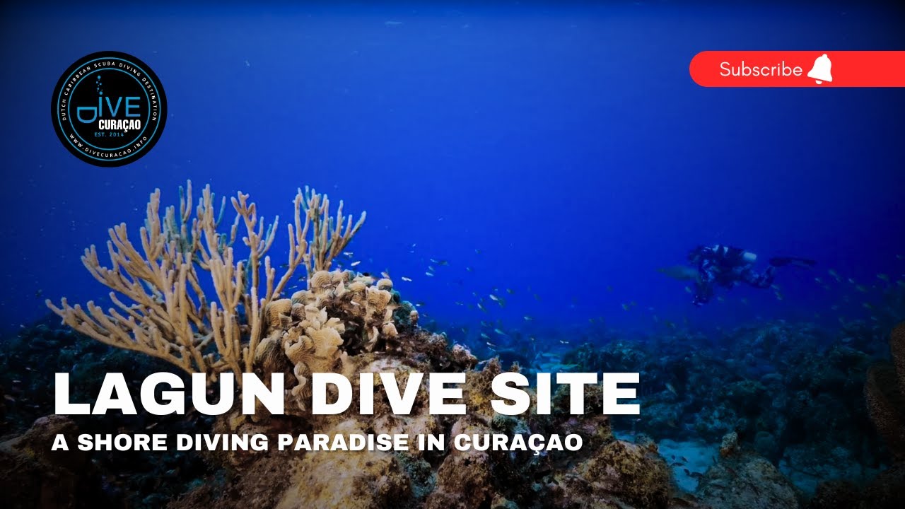 Scuba Diving at Playa Lagun Dive Site in Curaçao: Shore Diving Paradise with Turtles & Coral Reefs