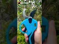 850W Brushless Electric Pruning Shear | Bell-003-EPS | Wholesale Orchard Tool