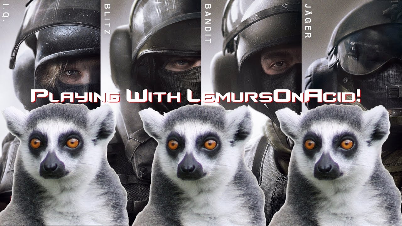 RB6 W/Lemursonacid, Ice Division, Doge tokyo