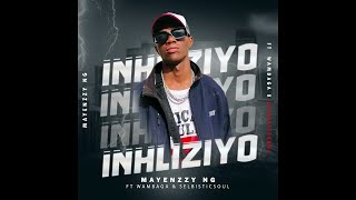 Mayenzzy - Inhliziyo ft Selbisticsoul & Wambaga (Official Audio)