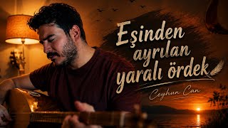 CEYHUN CAN - EŞİNDEN AYRILAN YARALI ÖRDEK